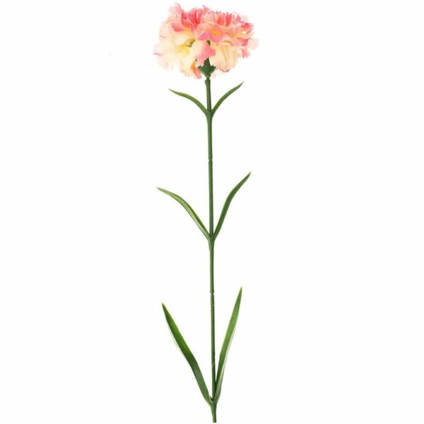 Nelke rosa 60cm